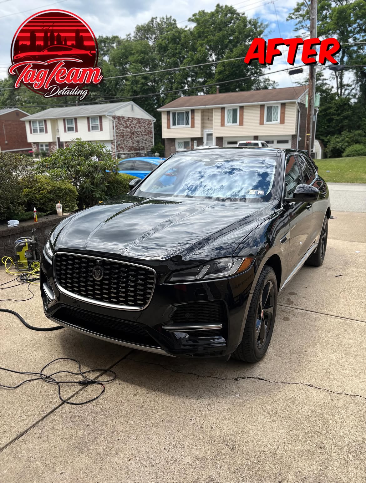 Jaguar exterior detail
